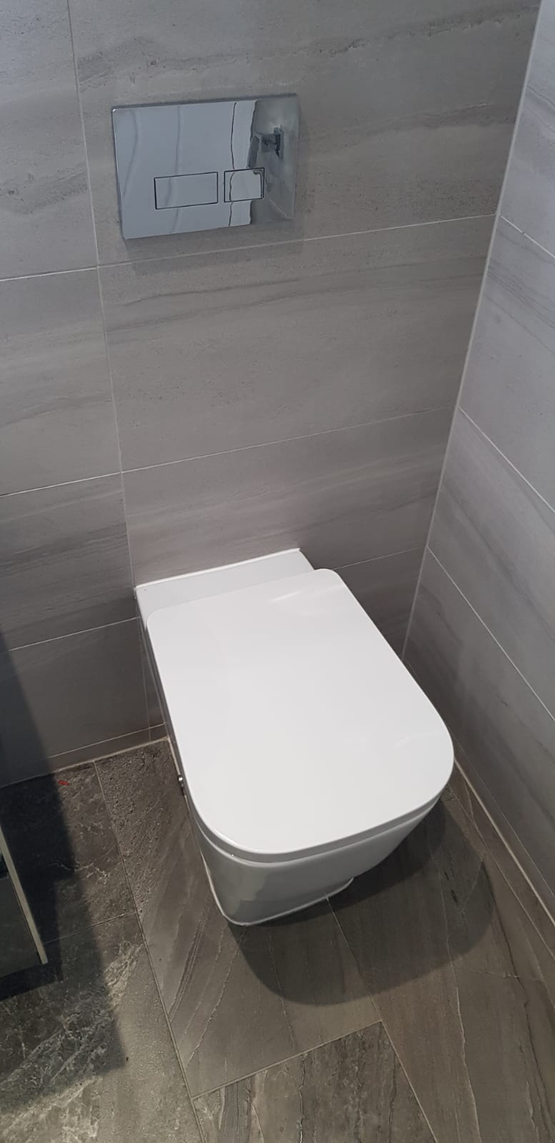 Choosing The Right Toilet Paul Barry